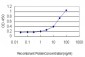 SGK Antibody (monoclonal) (M01)
